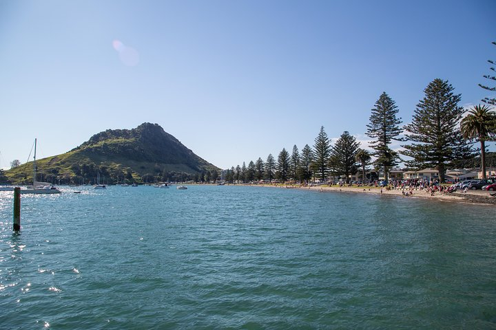 4hr Tauranga Scenic History and Tasting Tour FREE Kiwifruit Tasting - Photo 1 of 11